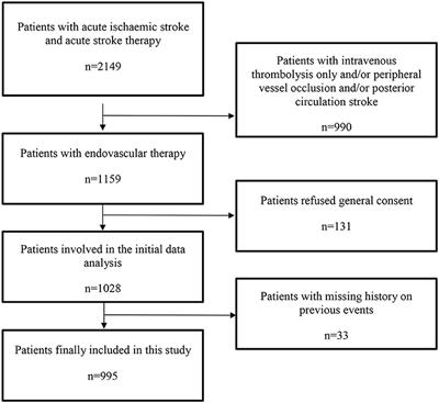 Baseline characteristics and outcome of stroke patients after endovascular therapy according to previous symptomatic vascular disease and sex